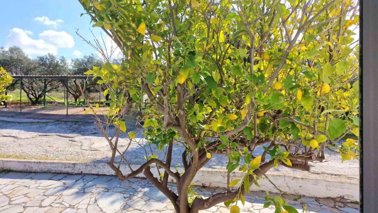 My Cretan Village By Go4Sea Chorafakia Buitenkant foto